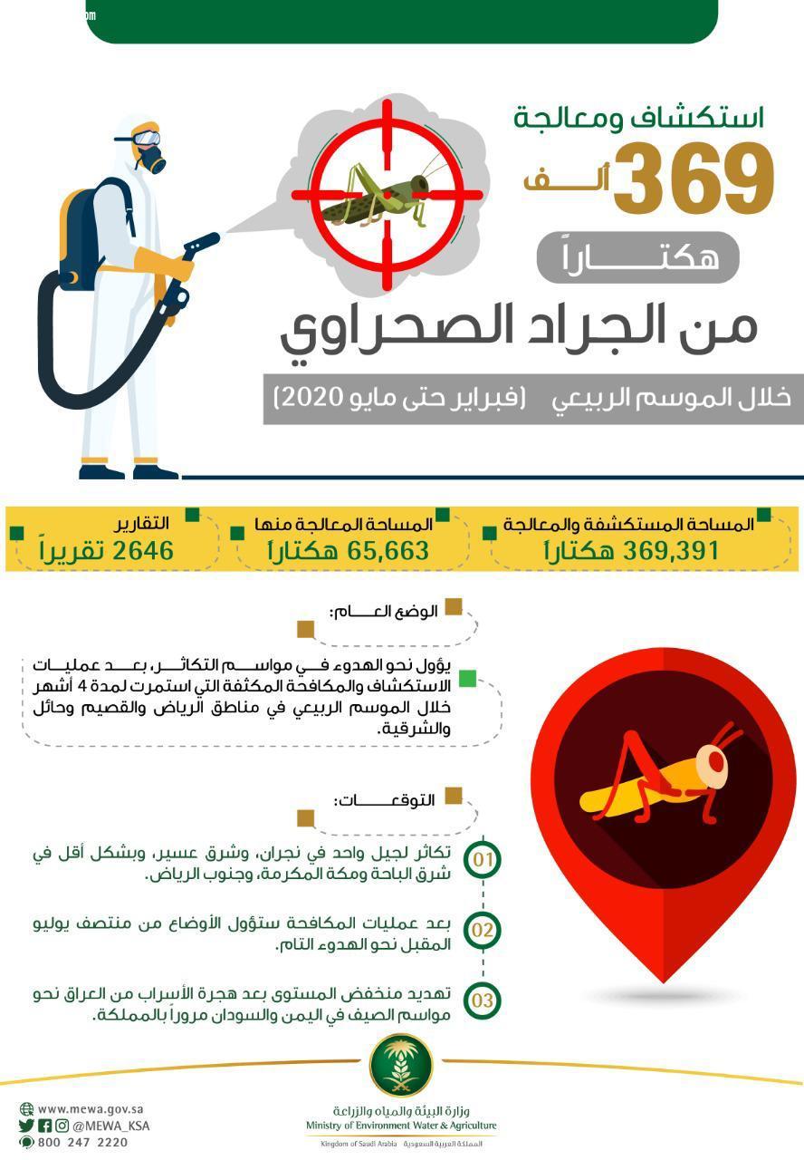البيئة تستكشف وتعالج 369 ألف هكتار من الجراد الصحراوي وتعلن انتهاء الموسم الربيعي 2020