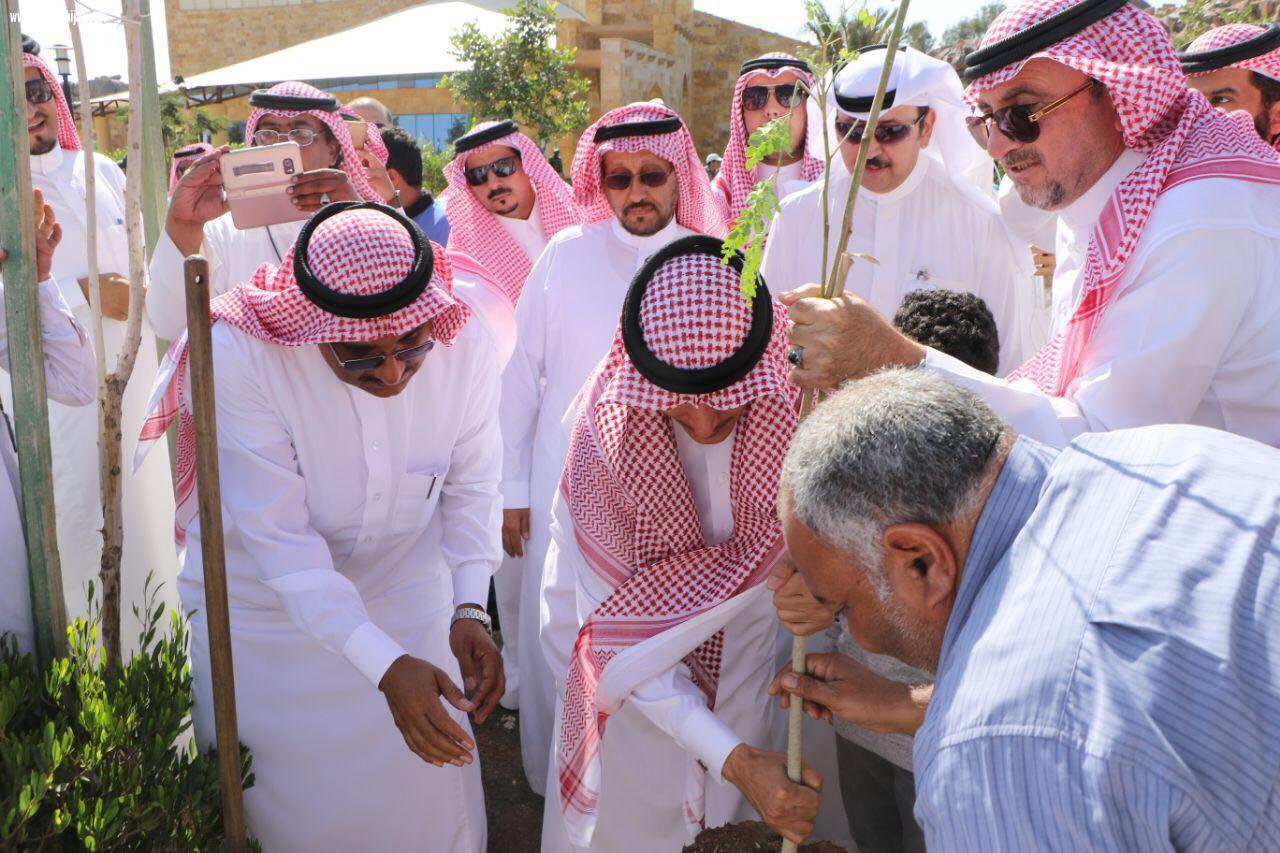 أمين الطائف يدشن حملة  اغرسها لتشجير الطائف
