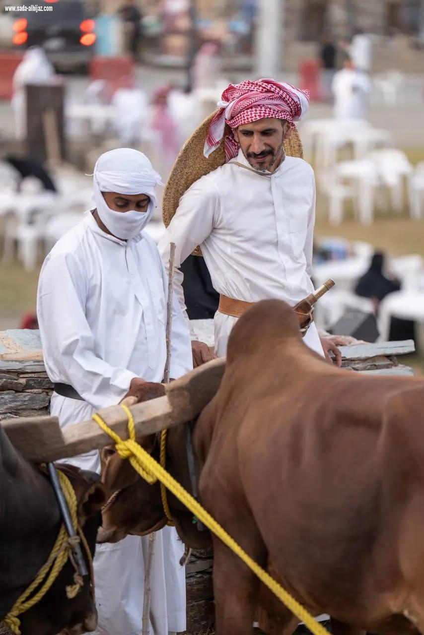 برعاية أمير الباحة.. انطلاق مهرجان الأطاولة التراثي التاسع في مشهد وطني يجسد أصالة التراث ويعزز الحراك السياحي