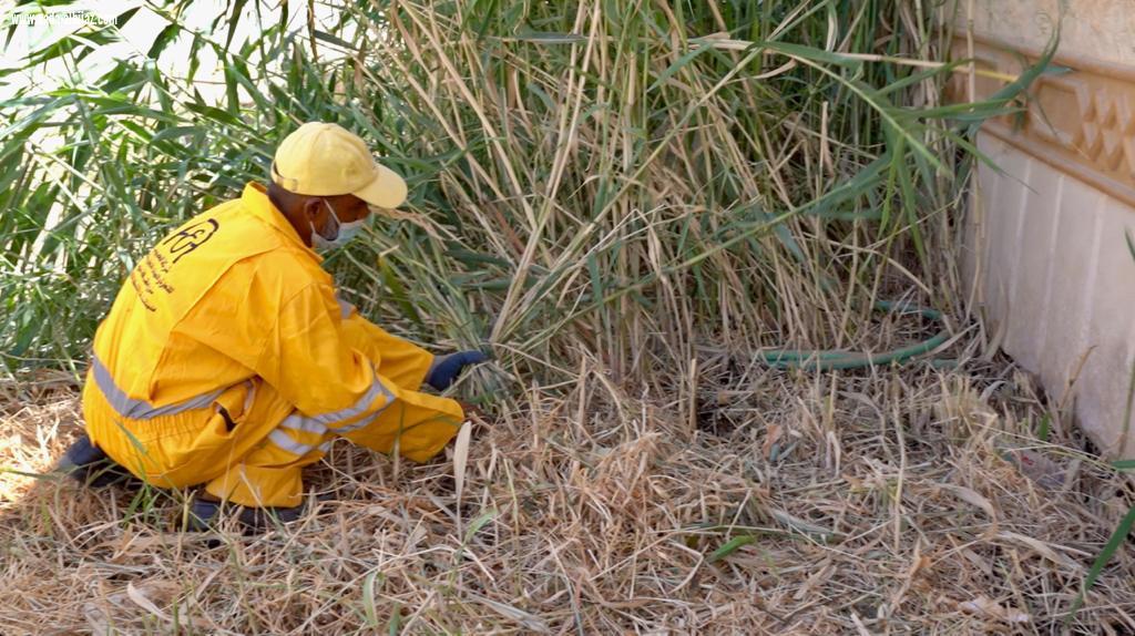 أمانة الجوف تزيل 100 لوحة إعلانية وملصقاً مخالفاً ضمن حملات تحسين المشهد الحضري