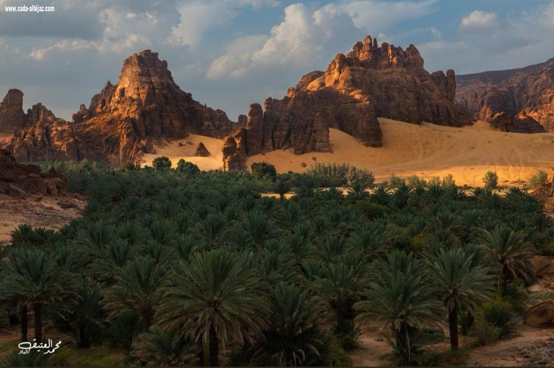 ضمن تفاصيل جديدة الهيئة الملكية لمحافظة العلا تعلن عن خطة استقبال السياح