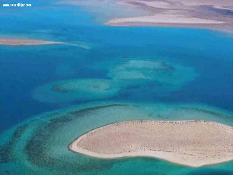 الجزر السعودية الكنز المفقود ذو الطبيعة الفاتنة... الأولى عربيًا وهذا ترتيبها عالميًا