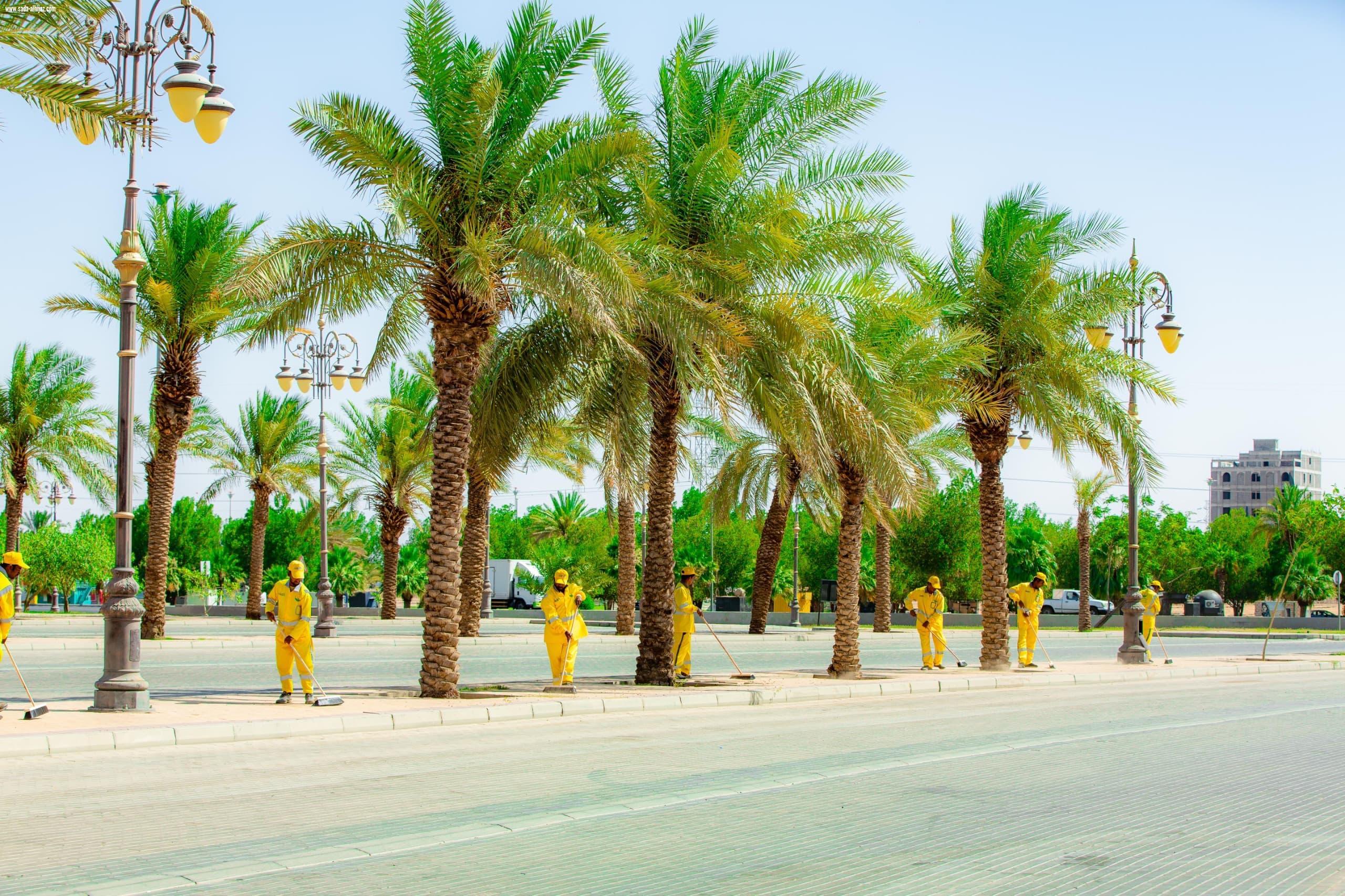 خلال العام الماضي 2025 .. أمانة تبوك ترفع أكثر من نصف مليون طن من النفايات ضمن أعمالها التشغيلية في مجال النظافة العامة،
