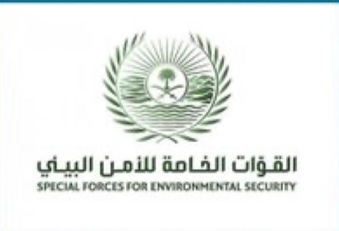 القوات الخاصة للأمن البيئي تضبط كميات من الحطب المحلي المستخدم لأغراض تجارية