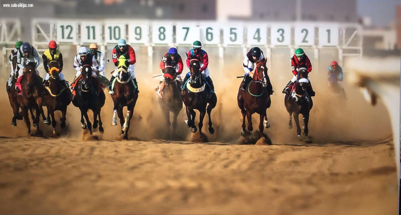 نادي الفروسية بجدة يُحٓضٓر لبداية انطلاق موسمه هذا العام