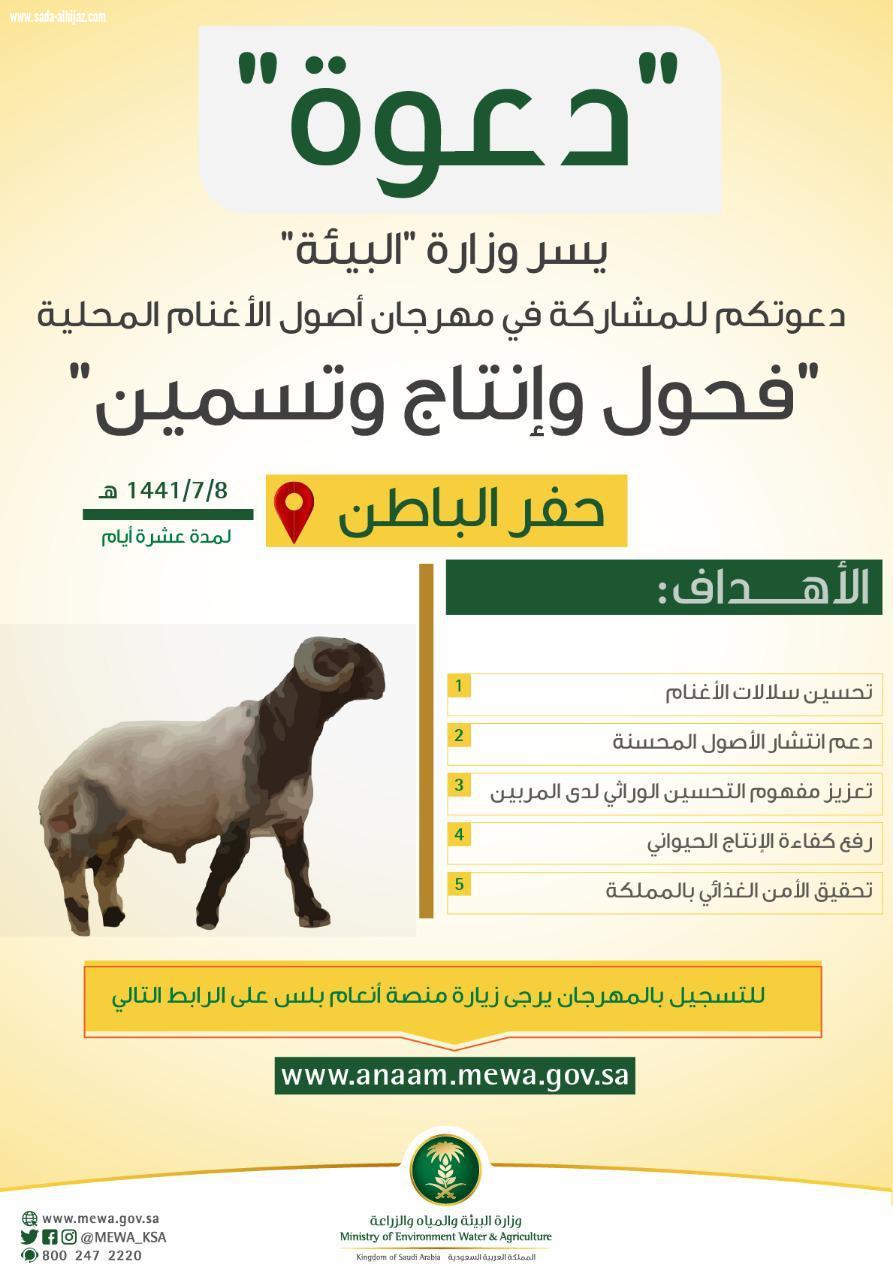 البيئة تستهدف رفع كفاءة الإنتاج الحيواني بمهرجان أصول الأغنام المحلية بحفر الباطن