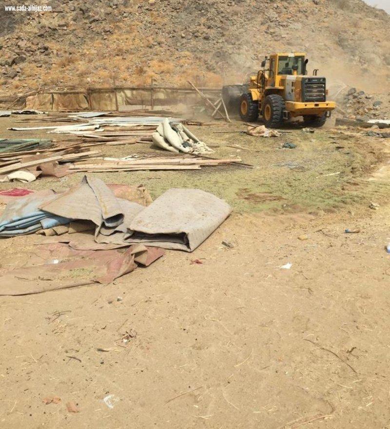 مكة.. إزالة 23 حظيرة عشوائية ومصادرة 27 رأسًا من الماشية بـ