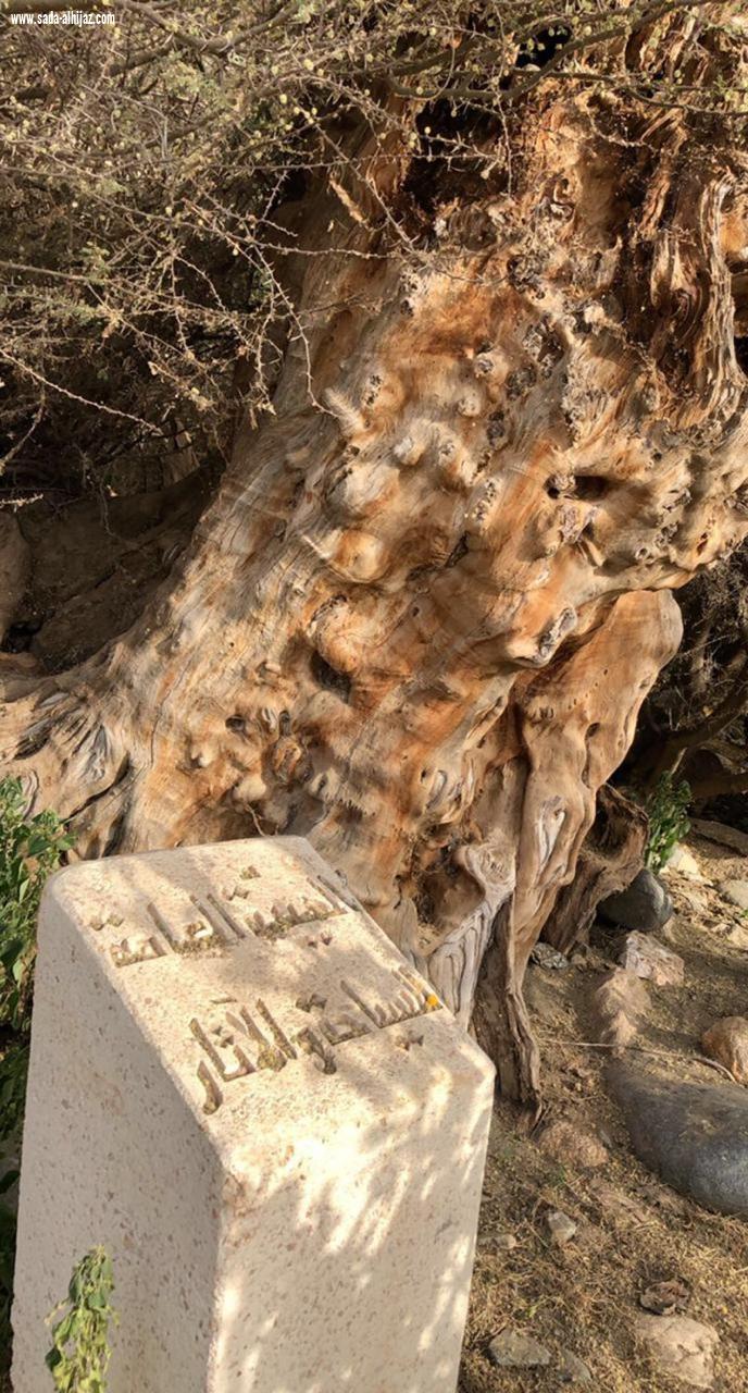 فعاليات منوعة لمدة يومين دعمًا لمبادرة ولي العهد 