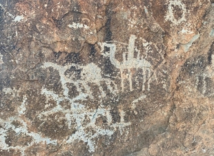 ( بالصور.. نقوش ورسوم صخرية تروي حضارة ديار فهم قديماً )