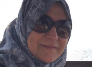 البدايات بين عام وعام