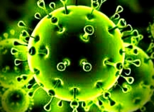 المنشدون وشعراء الساحة والقاعات يخالفون تدابير كورونا