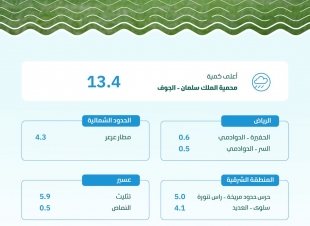 البيئة ترصد هطول أمطار في (6) مناطق والجوف تسجّل أعلى كمية بـ (13.4) ملم في محمية الملك سلمان