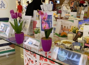 التوعية الصحية بصحة جدة تقيم وتنظم فعالية امش ٣٠  -  عش بصحة بالياسمين مول