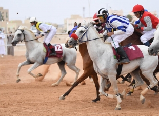 ستون ألف ريال جوائز الفائزين في المحفل الثالث على ميدان فروسية العقيق بالباحة