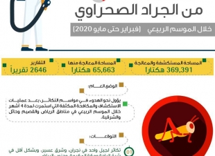 البيئة تستكشف وتعالج 369 ألف هكتار من الجراد الصحراوي وتعلن انتهاء الموسم الربيعي 2020