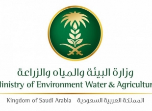 بدأت البيئه بتطبيق اللائحة التنفيذية للتصاريح