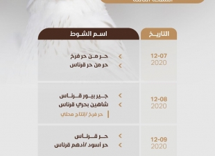 استحداث فئات جديدة لمسابقتي الملواح والمزاين وبدء التسجيل بمسابقات مهرجان الملك عبدالعزيز للصقور في 6 مدن