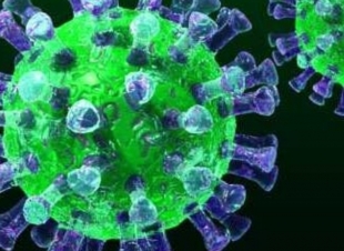 سارقّ .. نبيل ..