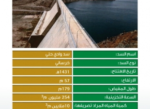 البيئة تستعد لفتح بوابات سد وادي حلي لتصريف 10 ملايين م³ من المياه