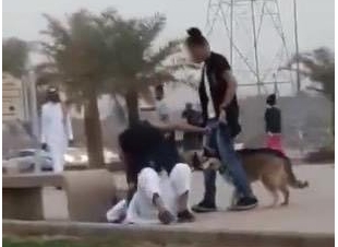 الجهات الأمنية تقبض على الشباب المعتديين على رجل في ممشى الهجرة بالمدينة