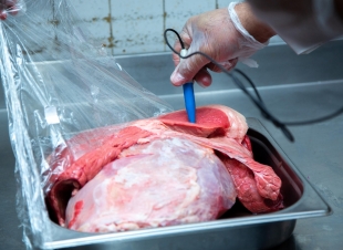 أمانة تبوك تشدد جهودها الرقابية بـ66 ألف زيارة ميدانية متوقعة خلال شهر رمضان  