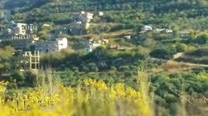 ريفيات  قرية عليانة 