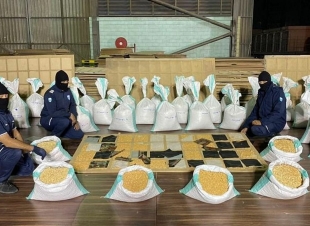 الجمارك تُحبط تهريب 14 مليون حبة كبتاجون مُخبأة في ألواح خشبية