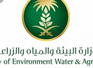 البيئة ترفع الحظر عن استيراد المواشي الحية من جمهورية الصومال