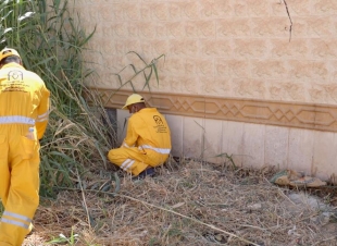 أمانة الجوف تزيل 100 لوحة إعلانية وملصقاً مخالفاً ضمن حملات تحسين المشهد الحضري